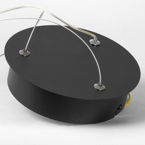 Люстра подвесная Lussole HALE LSP-7381, изображение 3