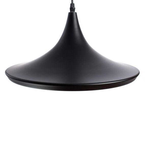 Подвесной светильник Arte Lamp CAPPELLO A3406SP-1BK, изображение 4