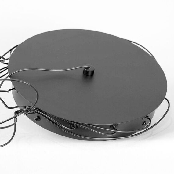 Люстра подвесная LUSSOLE HOPKINS LSP-7397, изображение 5