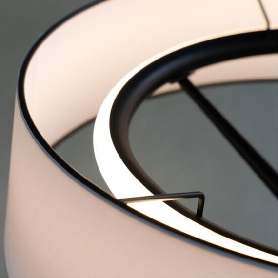 Декоративная настольная лампа Divinare ALMA 1029/06 TL-11, изображение 4