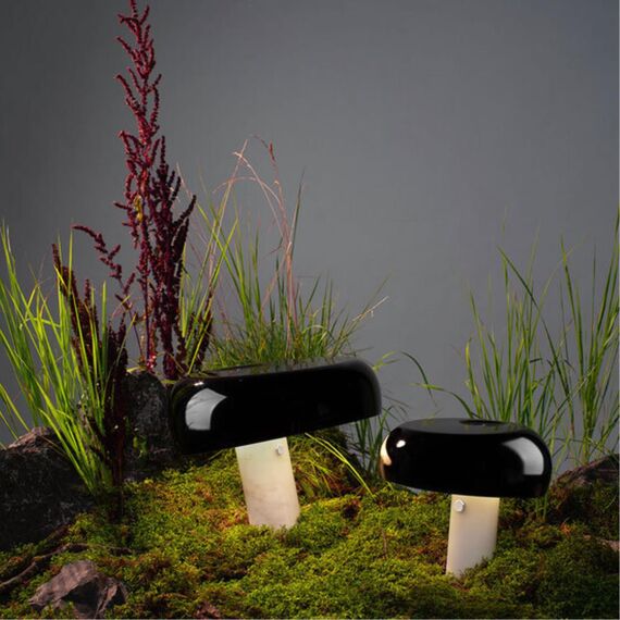 Декоративная настольная лампа Divinare DENTON 1083/06 TL-1, изображение 2