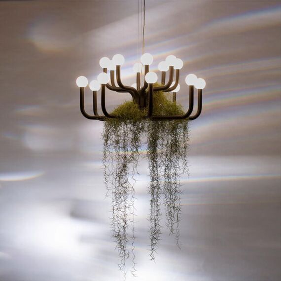 Подвесная люстра Divinare FLORIANA 8194/06 LM-94, изображение 2