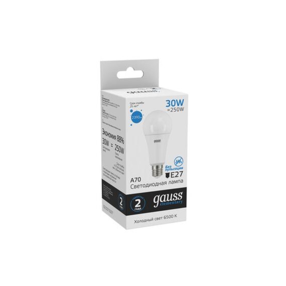 Светодиодная лампа Gauss A67 30W 2390Lm 6500K E27 73239, изображение 3