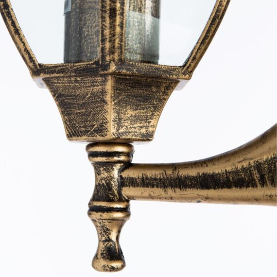 Уличный настенный светильник Arte Lamp PEGASUS A3151AL-1BN, изображение 4