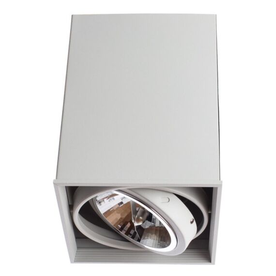 Точечный накладной светильник Arte Lamp CARDANI GRANDE A5936PL-1WH, изображение 3