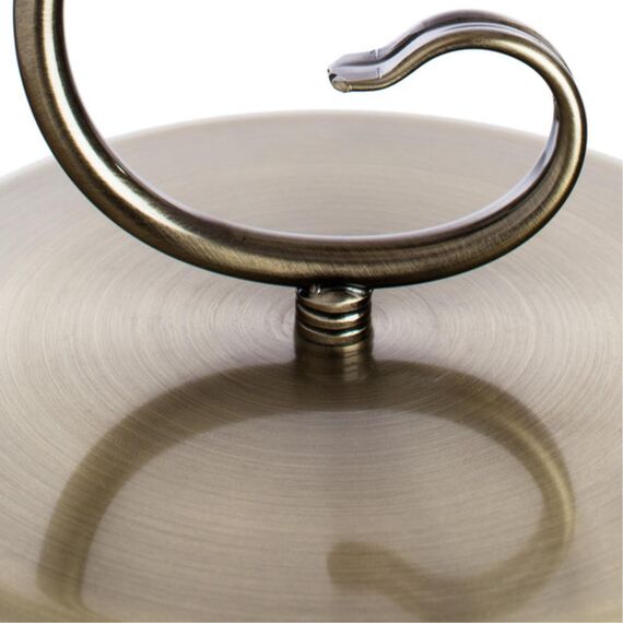 Декоративная настольная лампа Arte Lamp SAFARI A6905LT-1AB, изображение 4