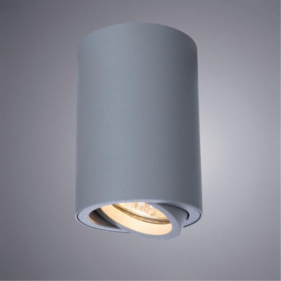 Точечный накладной светильник Arte Lamp SENTRY A1560PL-1GY, изображение 4