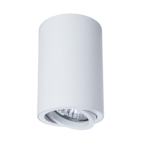 Точечный накладной светильник Arte Lamp SENTRY A1560PL-1WH, изображение 3