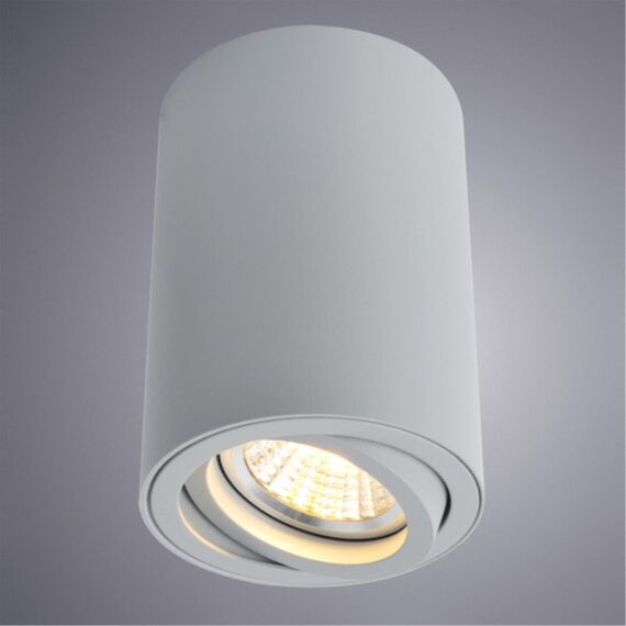 Точечный накладной светильник Arte Lamp SENTRY A1560PL-1GY, изображение 2