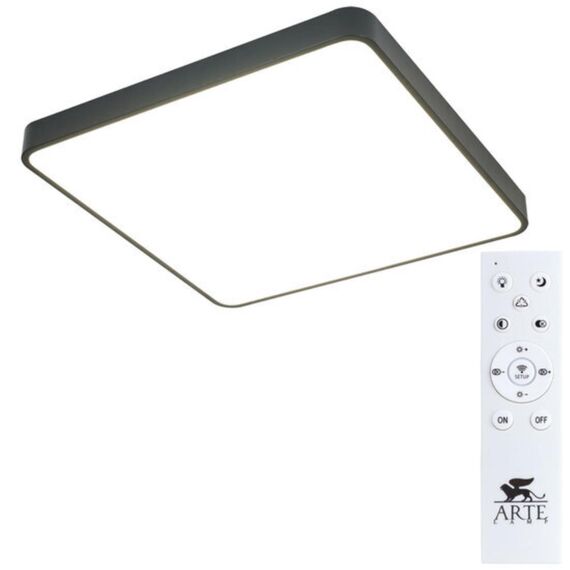 Потолочный светильник Arte Lamp SCENA A2669PL-1BK, изображение 2
