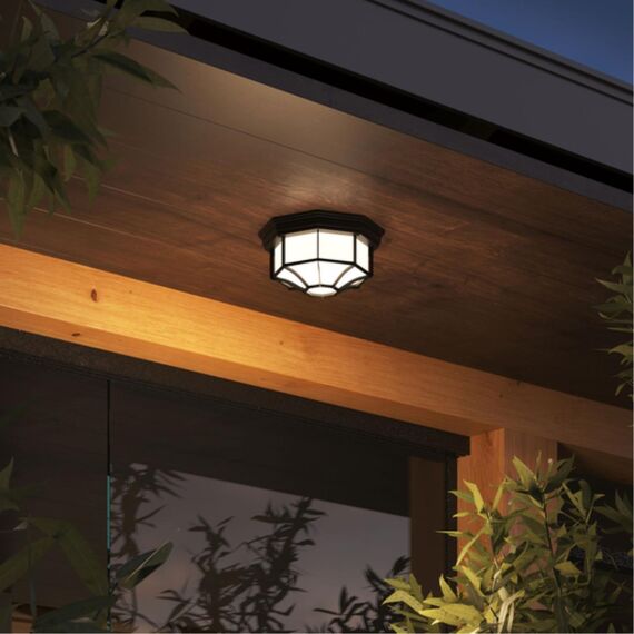 Уличный потолочный светильник Arte Lamp PEGASUS A3100PL-1BK, изображение 3