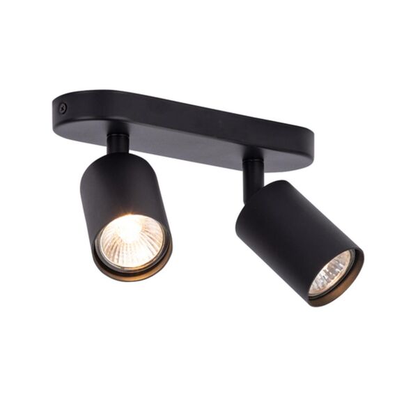 Спот Arte Lamp AQUARIUS A3226PL-2BK, изображение 2