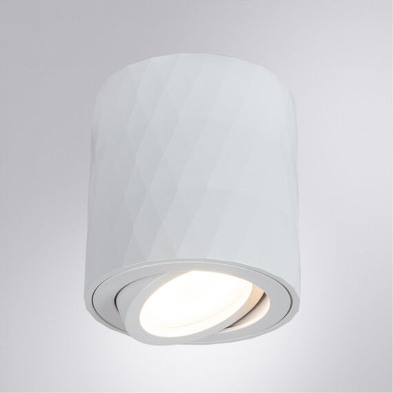 Точечный накладной светильник Arte Lamp FANG A5559PL-1WH, изображение 2