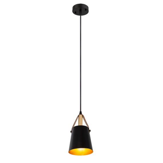 Подвесной светильник Arte Lamp THOMAS A7032SP-1BK, изображение 2