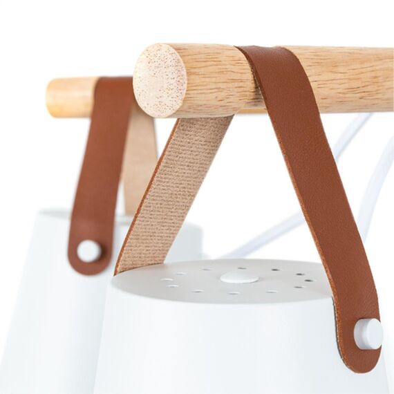 Потолочная люстра Arte Lamp THOMAS A7032PL-5WH, изображение 3