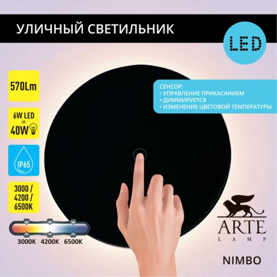 Фасадный светильник Arte Lamp NIMBO A4506AL-1BK, изображение 7