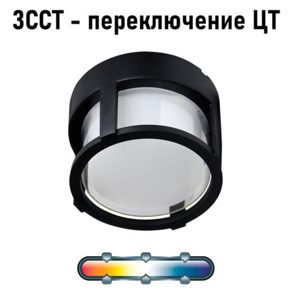 Уличный потолочный светильник Arte Lamp ULYSSES A6206PF-1BK