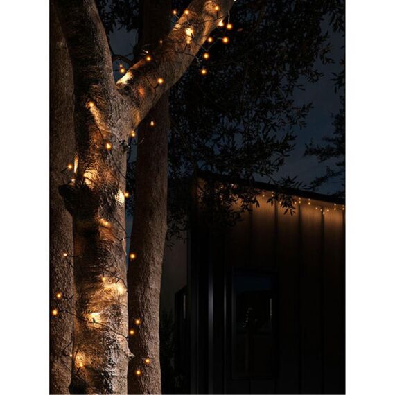 Гирлянда Arte Lamp TWINKLEA8412IN-100YL, изображение 4