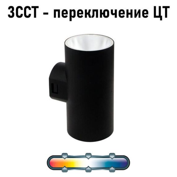 Фасадный светильник Arte Lamp ALCYONE A6109AL-2BK