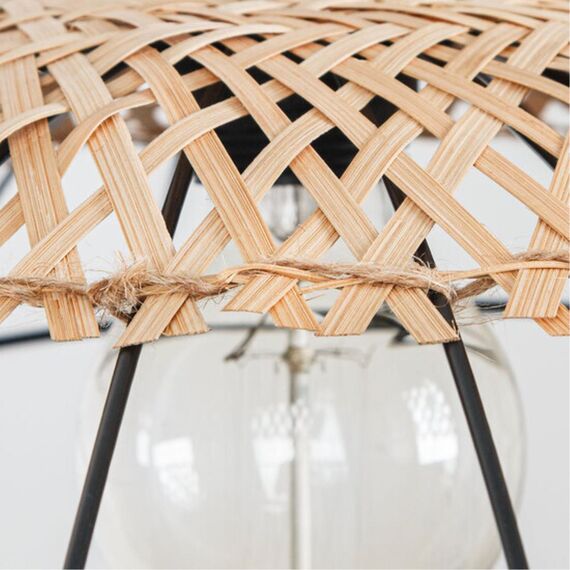 Подвесной светильник Arte Lamp WOODSTOCK A7061SP-1BK, изображение 3