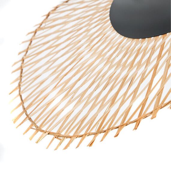 Подвесной светильник Arte Lamp WOODSTOCK A7063SP-1BK, изображение 4