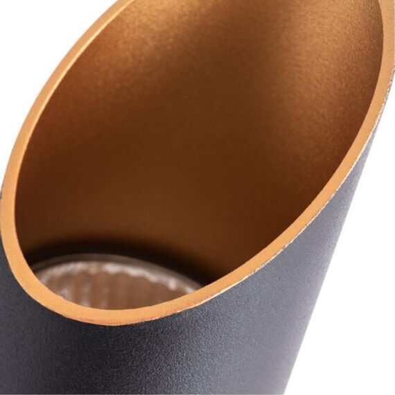 Точечный накладной светильник Arte Lamp PILON-GOLD A1537PL-1BK, изображение 3