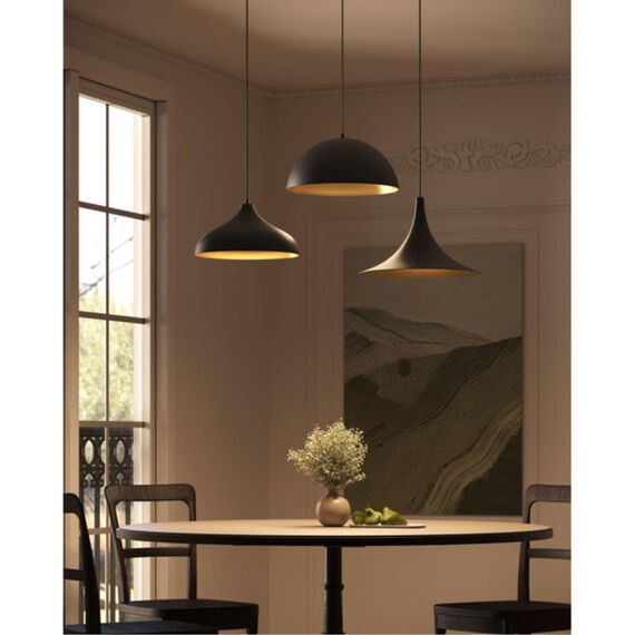 Подвесной светильник Arte Lamp CARMEL A7076SP-1BK, изображение 4