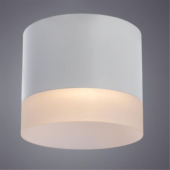 Точечный накладной светильник Arte Lamp CASTOR A5554PL-1WH, изображение 2