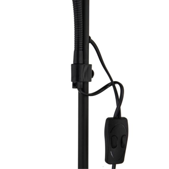 Торшер Arte Lamp DUETTO A9569PN-2BK, изображение 3