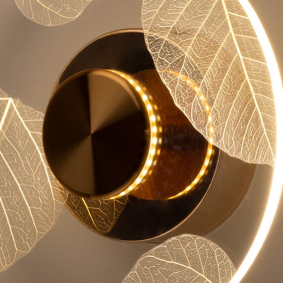 Бра De City Конти, изображение 6