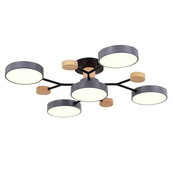 SLE6006-702-05 Светильник потолочный Серый/Серый LED 5*12W 3000K/4500K/6000K FAEMA, изображение 3