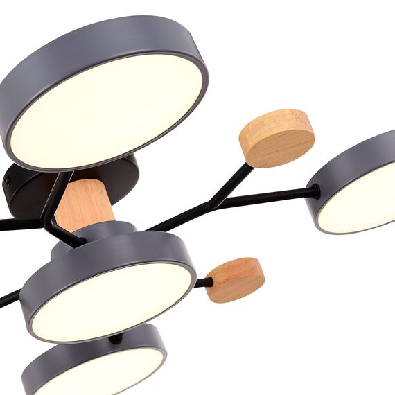 SLE6006-702-05 Светильник потолочный Серый/Серый LED 5*12W 3000K/4500K/6000K FAEMA, изображение 7