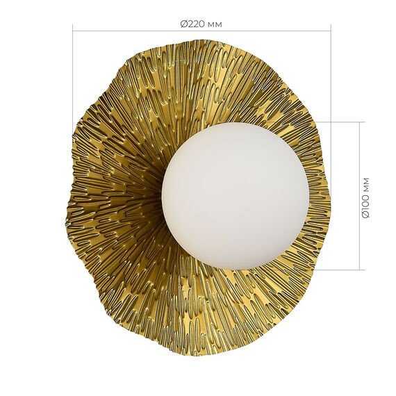 SLE1196-301-01 Светильник настенный Латунь/Белый G9 1*5W 4000K LOREA, изображение 7