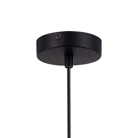 SLE1257-443-01 Светильник подвесной Черный/Черный G9 1*5W 4000K RIZZ, изображение 5