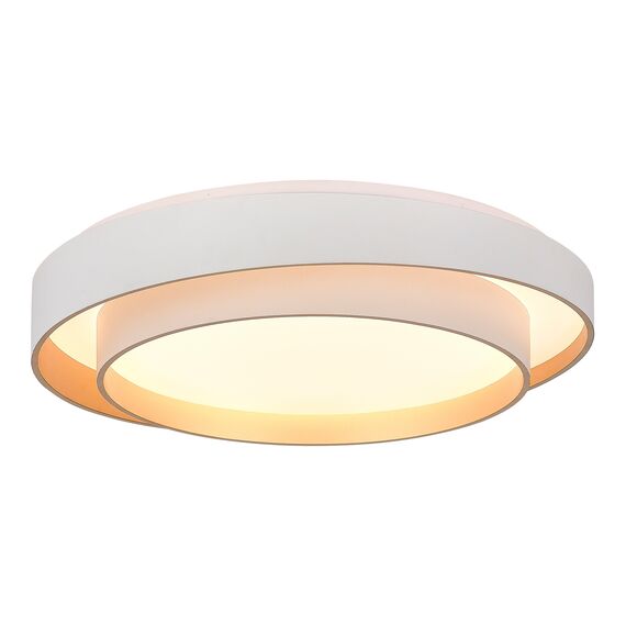 SLE6009-502-01 Светильник потолочный Белый/Белый LED 1*50W 3000K/4000K/6000K CROSBY, изображение 3