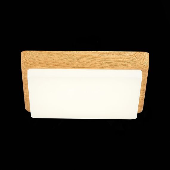 SLE200202-01 Светильник потолочный Светло-коричневый/Белый LED 1*20W 4000K TADDIO, изображение 7