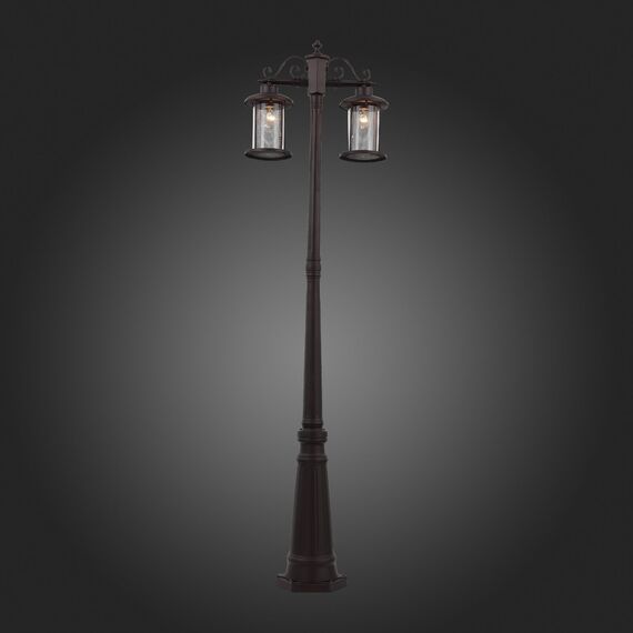 SL080.425.02 Светильник уличный наземный ST-Luce Темный кофе/Прозрачный, Темный кофе E27 2*100W LASTERO, изображение 5