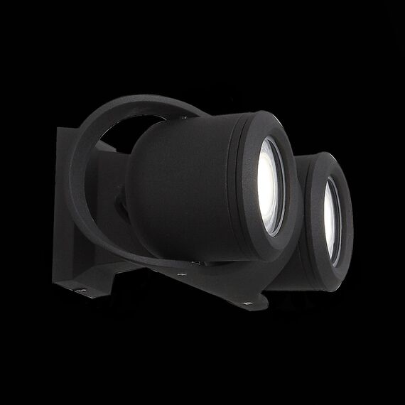 SL093.401.02 Светильник уличный настенный ST-Luce Черный/Черный, Прозрачный G5,3 2*3W ROUND, изображение 7