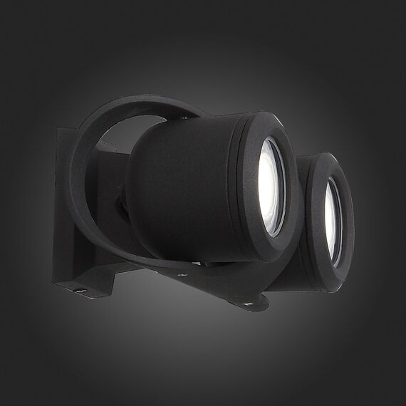 SL093.401.02 Светильник уличный настенный ST-Luce Черный/Черный, Прозрачный G5,3 2*3W ROUND, изображение 8