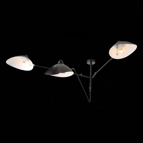 SL305.402.03 Люстра потолочная ST-Luce Черный/Черный, Белый E27 3*60W SPRUZZO, изображение 13