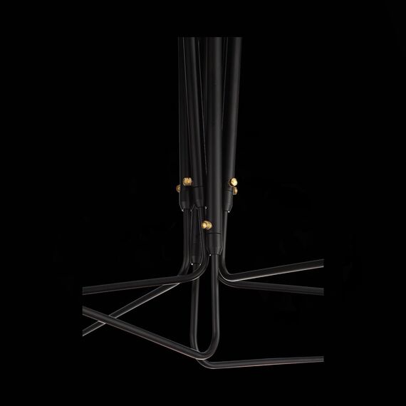 SL305.402.06 Люстра потолочная ST-Luce Черный/Черный, Белый E27 6*60W SPRUZZO, изображение 16