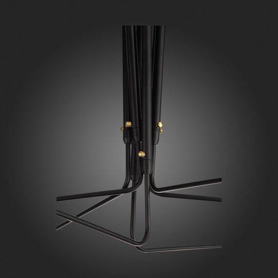 SL305.402.06 Люстра потолочная ST-Luce Черный/Черный, Белый E27 6*60W SPRUZZO, изображение 17