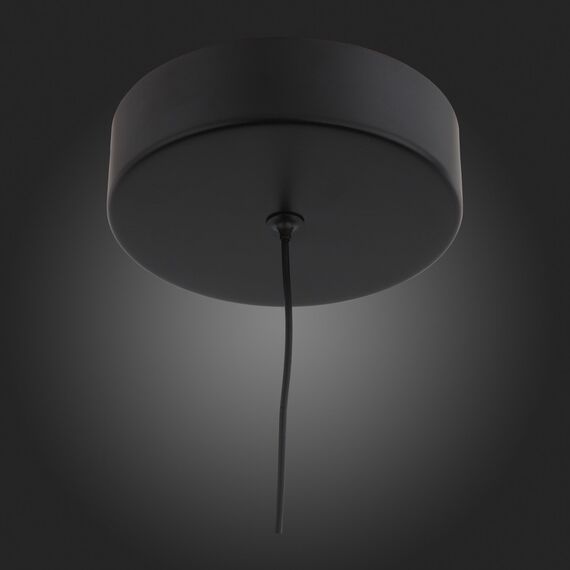 SL393.403.01 Подвес ST-Luce Черный/Белый LED 1*10W 4000K BISARIA, изображение 8