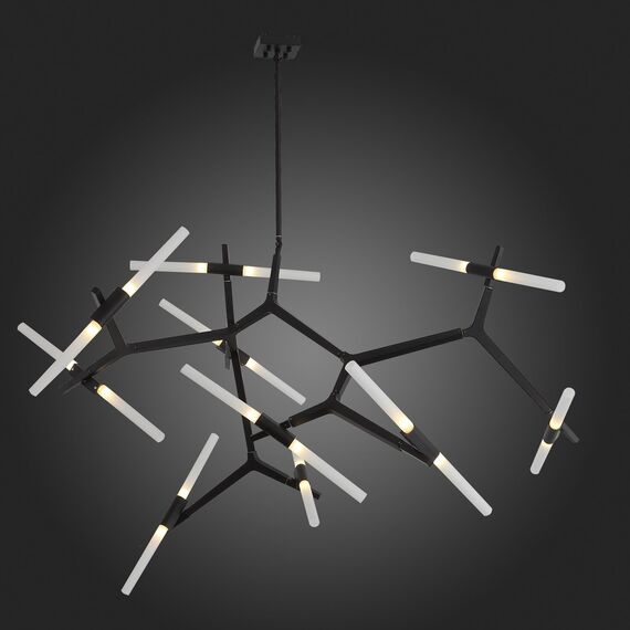 SL947.402.20 Люстра потолочная ST-Luce Черный/Белый G9 20*5W LACONICITA, изображение 5