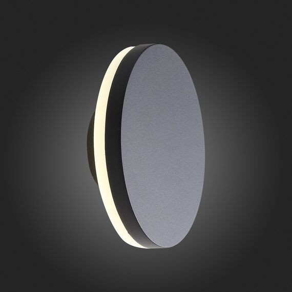 SL087.401.01 Светильник уличный настенный ST-Luce Черный кварцевый LED 1*12W 4000K CONTARIO, изображение 2