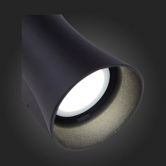 SL088.401.02 Светильник уличный настенный ST-Luce Черный кварцевый LED 2*5W 4000K DEALE, изображение 14