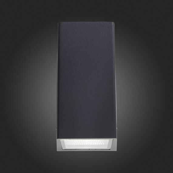SL088.421.02 Светильник уличный настенный ST-Luce Черный кварцевый LED 2*5W 4000K DEALE, изображение 8