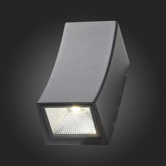 SL088.421.02 Светильник уличный настенный ST-Luce Черный кварцевый LED 2*5W 4000K DEALE, изображение 11