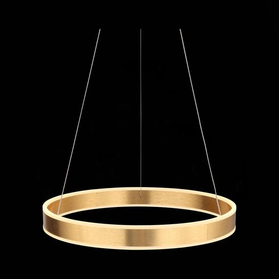 SL944.203.01 Люстра подвесная ST-Luce Анодированный золотой/Белый LED 1*40W 3000K-6000K ONZE, изображение 7