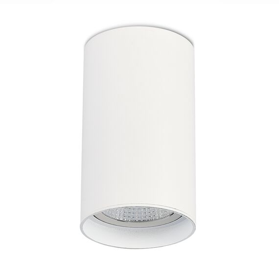 ST157.542.20 Светильник потолочный Белый LED 1*20W 4000K 1 600Lm Ra>90 60° IP44 D95xH150 220-265V Накладные светильники, изображение 4